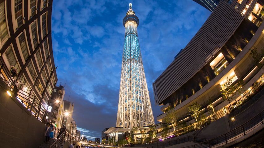 スカイツリーができてから家賃が上がった