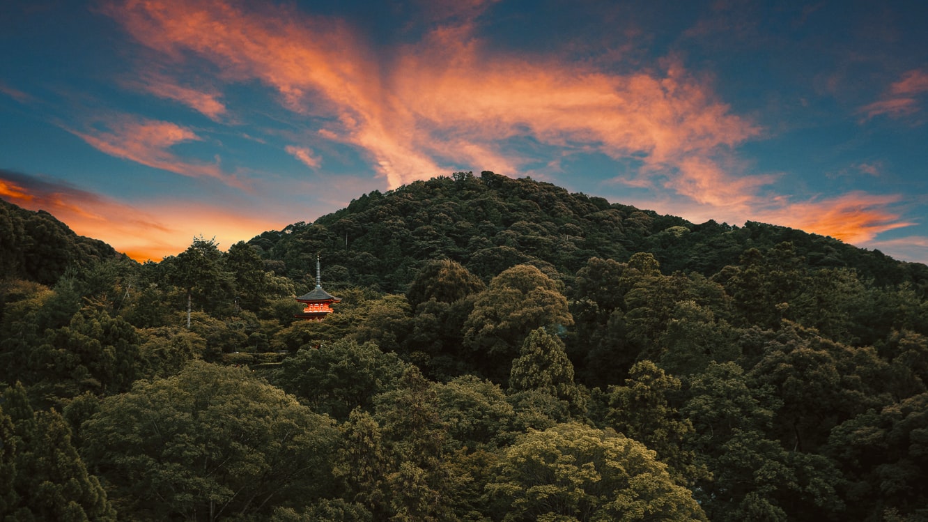 12位：津川雅彦