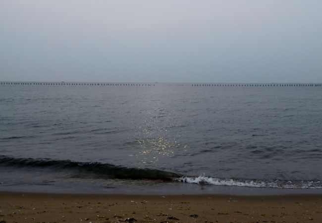 11位：野間海水浴場