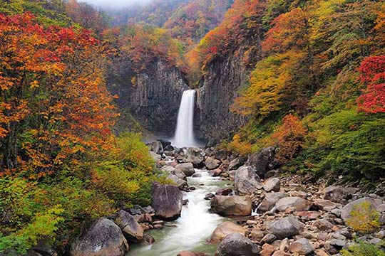 女性の自殺者数が全国1位