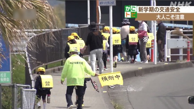 28位：鹿児島県