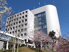 80位：神戸医療未来大学 人間社会学部　偏差値35