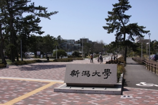 55位：新潟大学