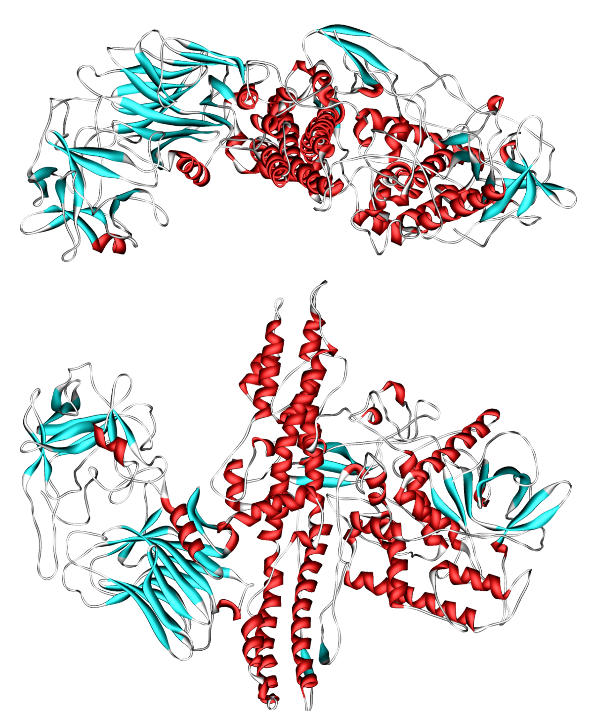 ボツリヌス菌が産生する複合体毒素