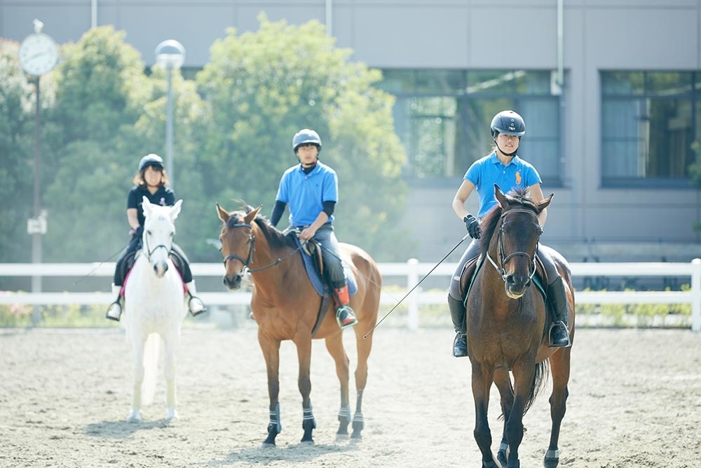 34位：乗馬サークル