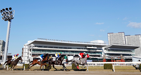 「中央競馬に比べてベタな感じの競馬場」