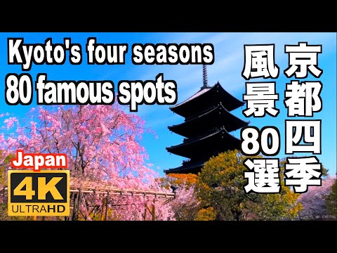 29位：Discover Nippon
