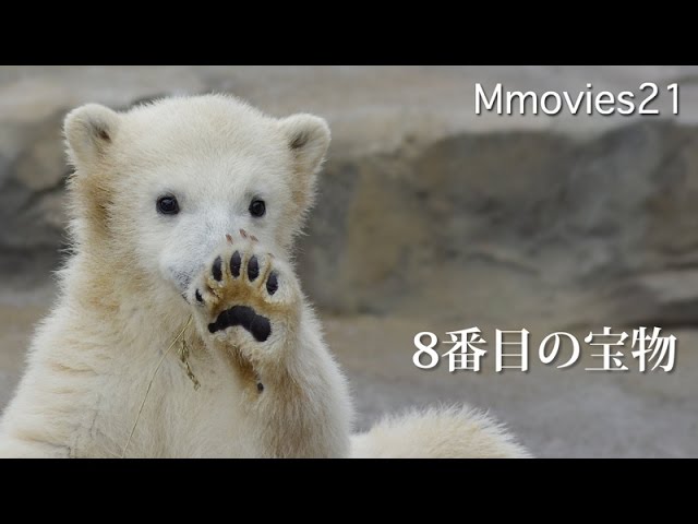 30位：Mmovies21