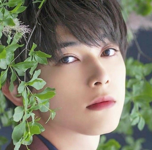 美しすぎる俳優