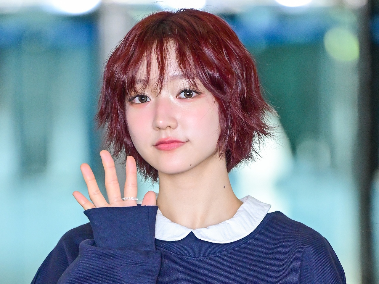 プロフィール