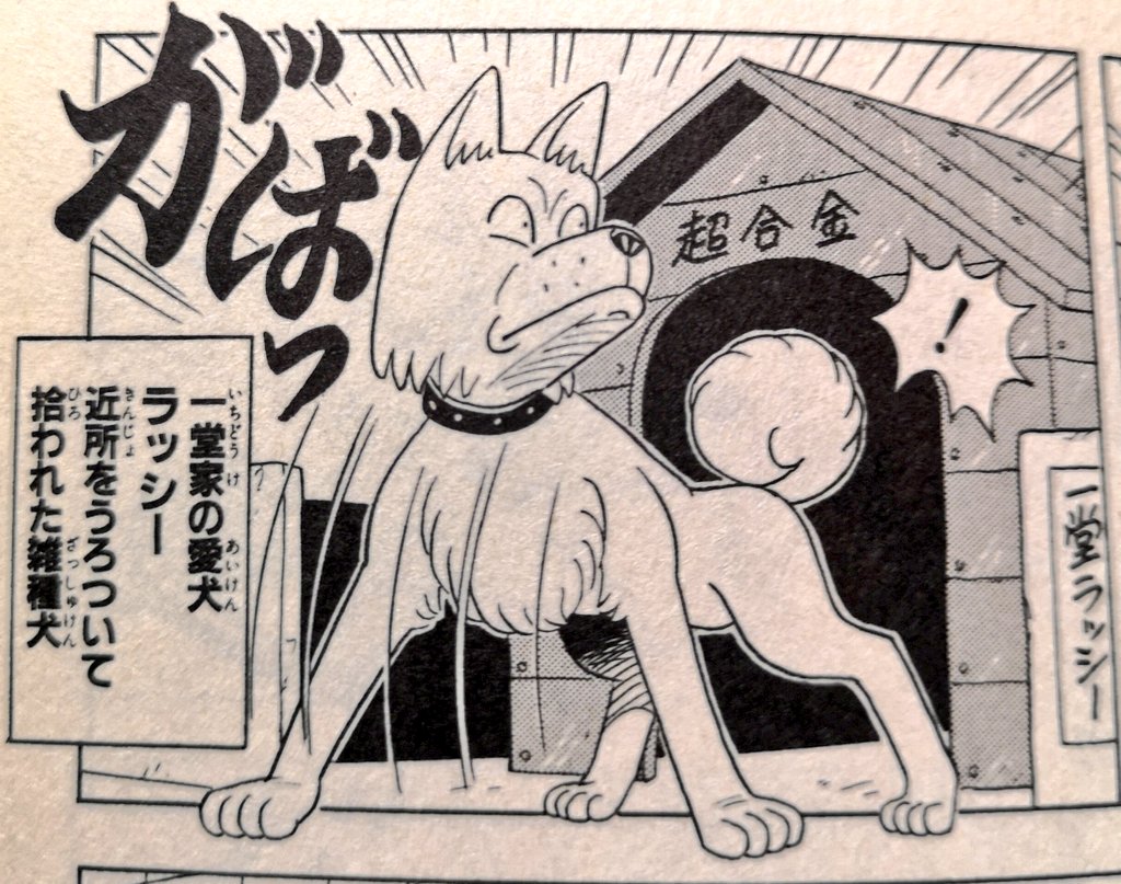 21位:一堂ラッシー