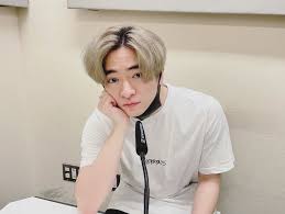 「最近の顔は年齢を感じる顔立ちになっていて今の顔よりも前の顔のほうがよかった」