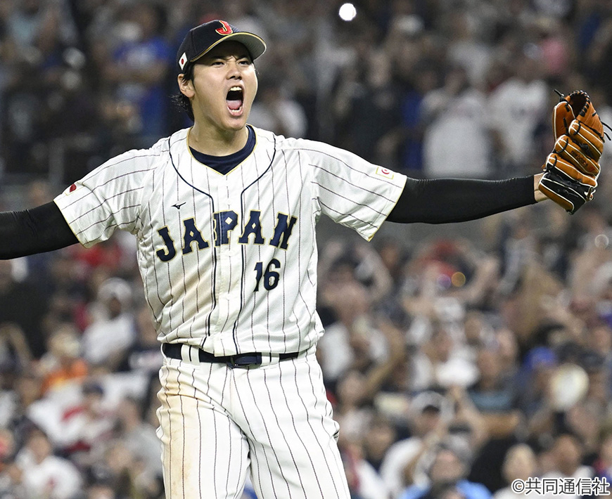 世界中から人気を博す