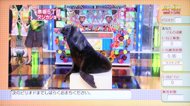 アシカが生放送中に暴れてしまい、スタジオ内が一時騒然