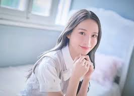 プロフィール