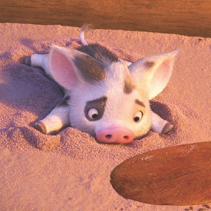 「かわいい見た目に反してストーリーへの絡みが少なかった」