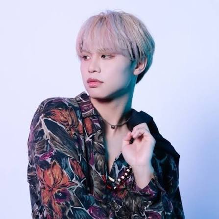 プロフィール