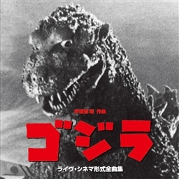 概要